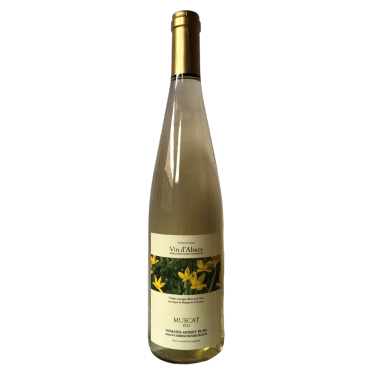 Muscat "les tulipes" 2021 AOC Alsace