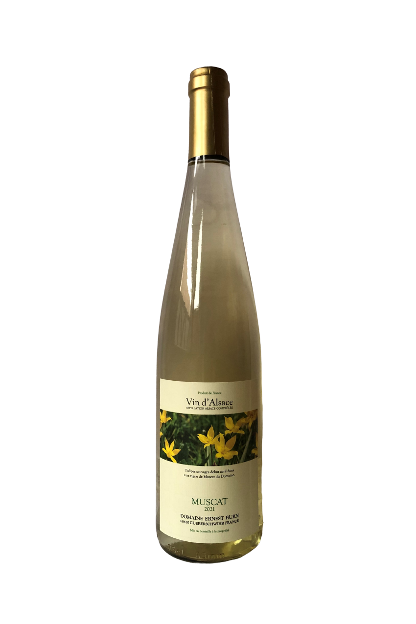 Muscat "les tulipes" 2021 AOC Alsace