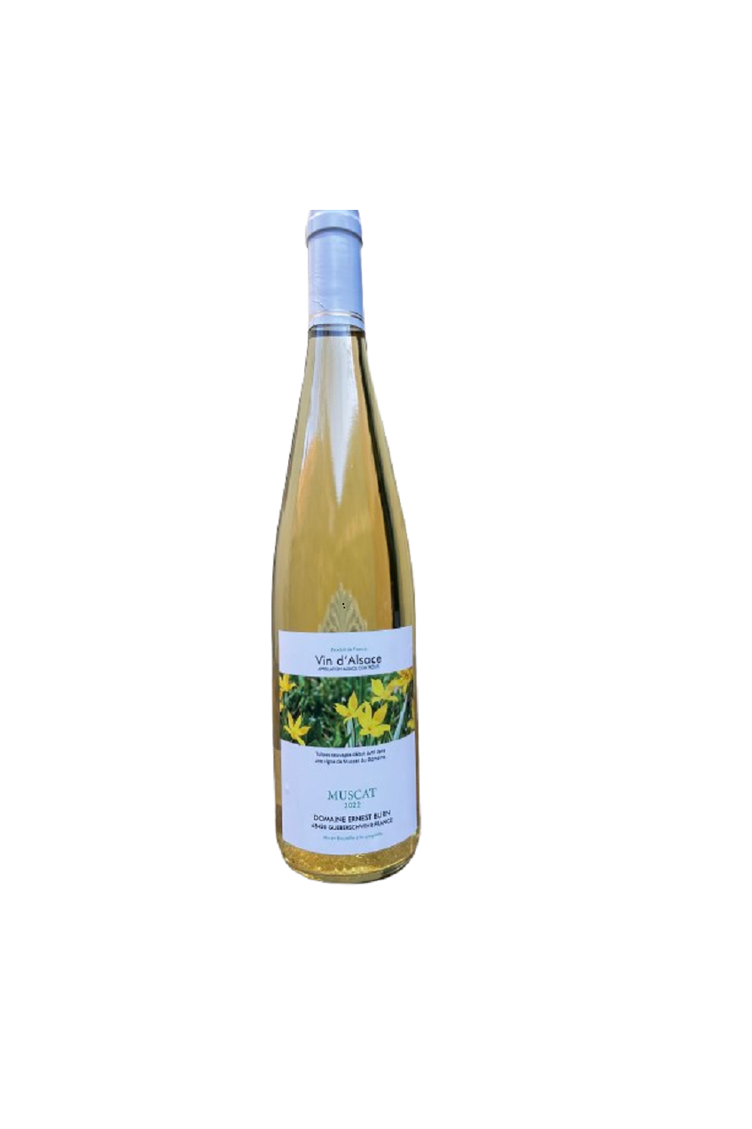 Muscat "les tulipes" 2022 AOC Alsace