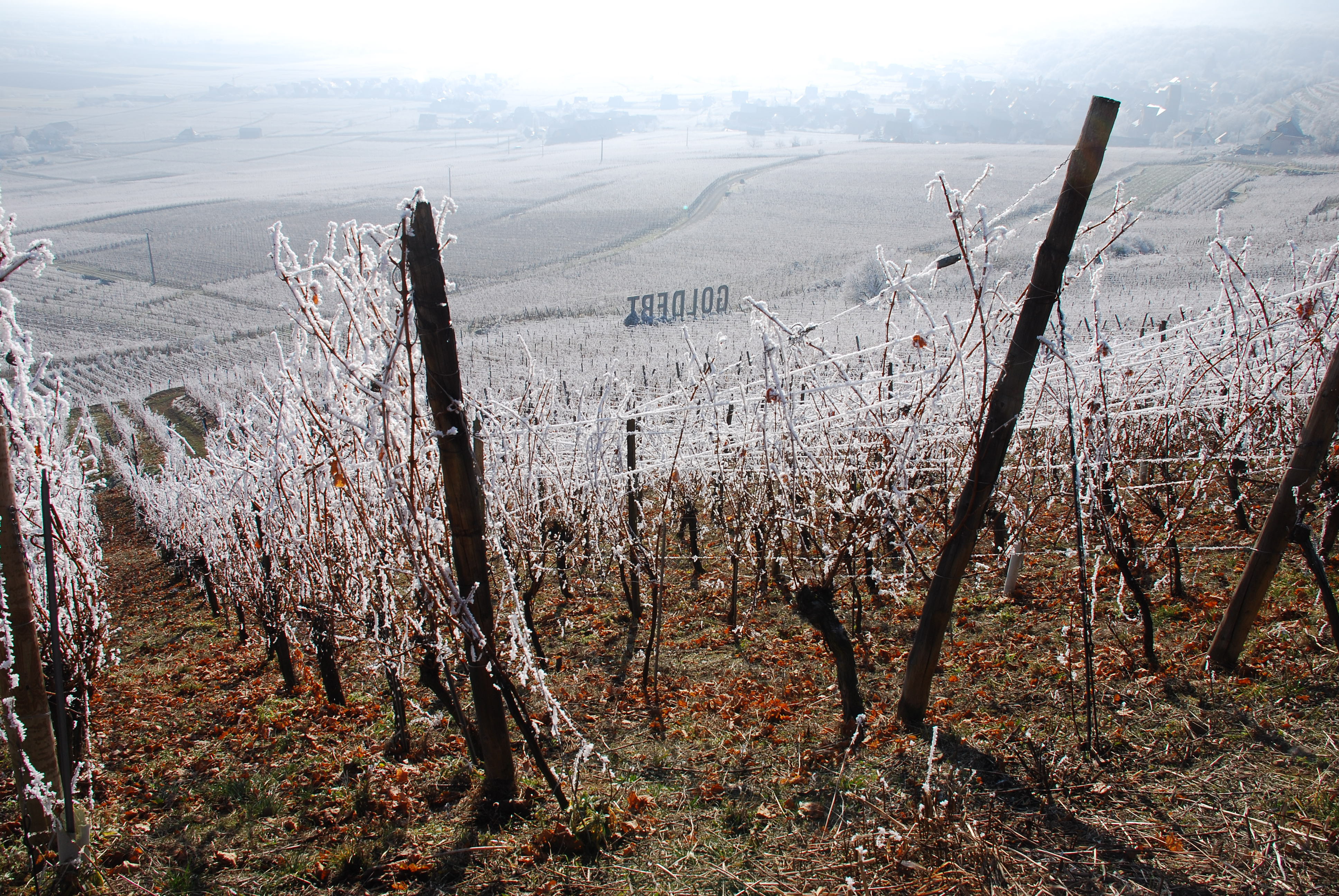 Saison d'hiver