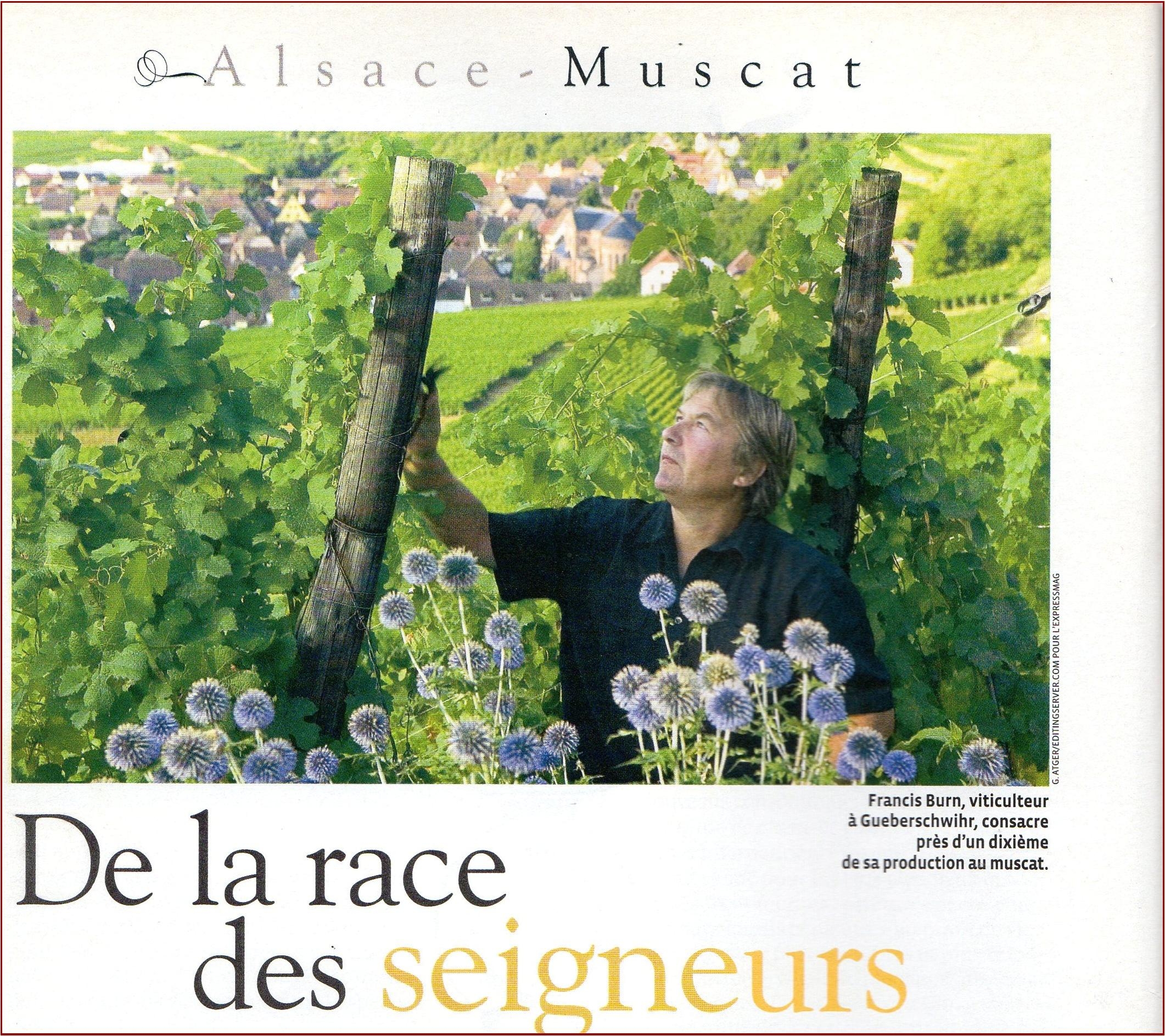 ‘De la race des seigneurs.’ : Le Muscat du Clos Saint-Imer à l’honneur.