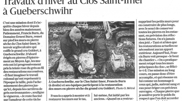 ARTICLE ALSACE/DNA DU 17 JANVIER 2026 par Olivier Metral