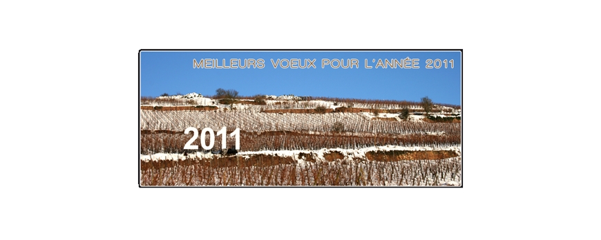 NOUS VOUS SOUHAITONS UNE MERVEILLEUSE ANNÉE 2011 !