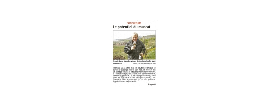 Le MUSCAT du CLOS SAINT-IMER à l’honneur dans le journal « L’Alsace » !