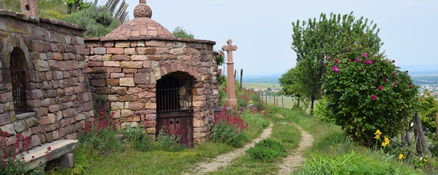 Biodiversité du Clos Saint-Imer