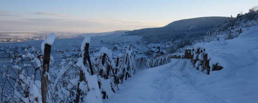 LE CLOS ST IMER SE REVEILLE SOUS UN MANTEAU DE NEIGE !