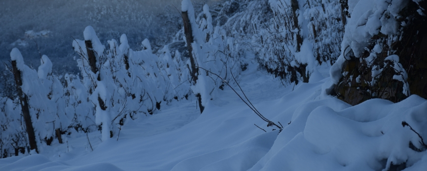 LE CLOS ST IMER SE REVEILLE SOUS UN MANTEAU DE NEIGE !