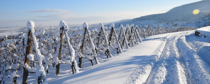 LE CLOS ST IMER SE REVEILLE SOUS UN MANTEAU DE NEIGE !