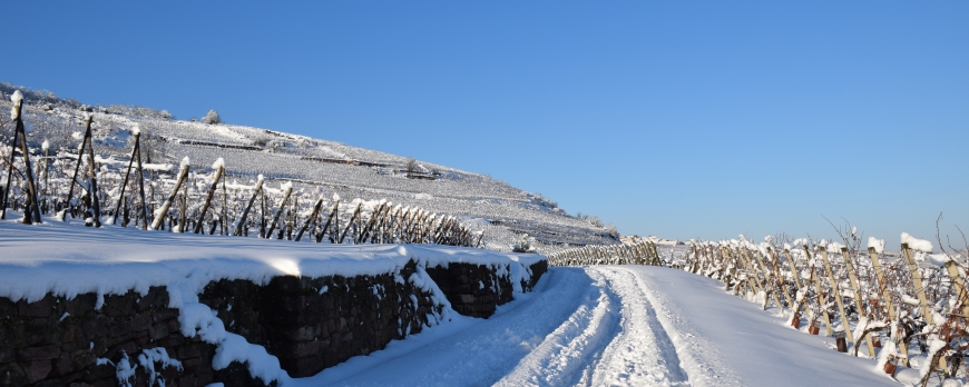 LE CLOS ST IMER SE REVEILLE SOUS UN MANTEAU DE NEIGE !