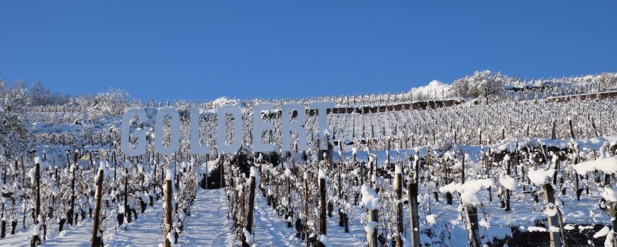 LE CLOS ST IMER SE REVEILLE SOUS UN MANTEAU DE NEIGE !