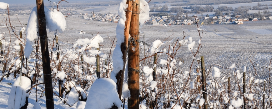 LE CLOS ST IMER SE REVEILLE SOUS UN MANTEAU DE NEIGE !