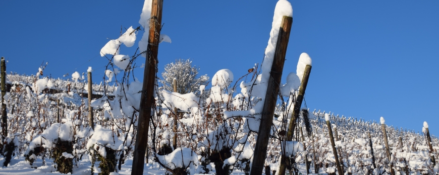 LE CLOS ST IMER SE REVEILLE SOUS UN MANTEAU DE NEIGE !