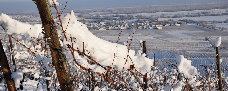 LE CLOS ST IMER SE REVEILLE SOUS UN MANTEAU DE NEIGE !