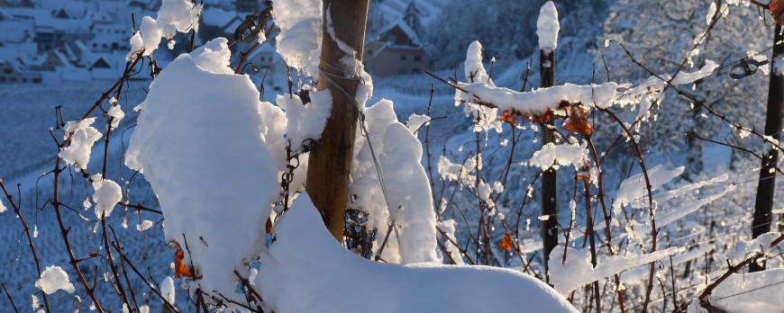 LE CLOS ST IMER SE REVEILLE SOUS UN MANTEAU DE NEIGE !