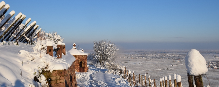 LE CLOS ST IMER SE REVEILLE SOUS UN MANTEAU DE NEIGE !