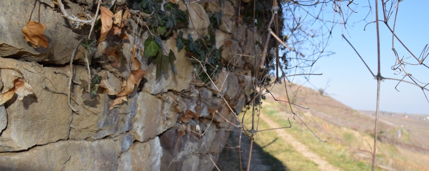 RESTAURATION DES MURS EN PIERRE SECHE