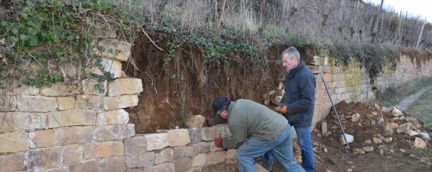 RESTAURATION DES MURS EN PIERRE SECHE