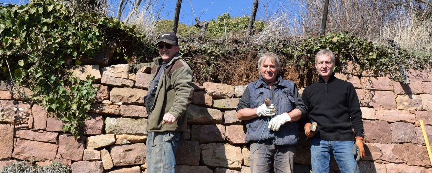 RESTAURATION DES MURS EN PIERRE SECHE