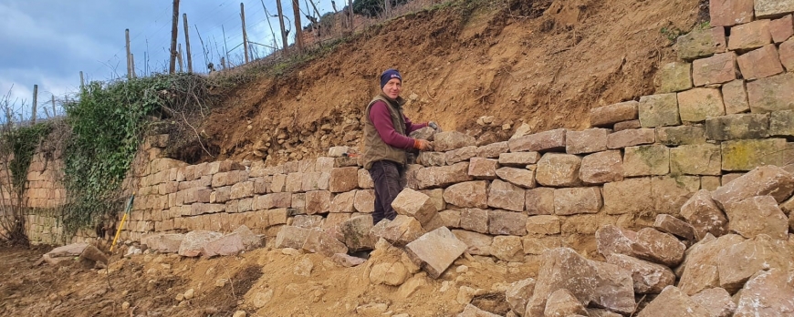 RESTAURATION DES MURS EN PIERRE SECHE