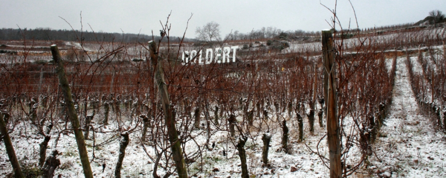 Le printemps et l'été 2014 au Clos Saint-Imer